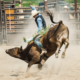 Exciting Basics: Rules of Bull Riding Explained